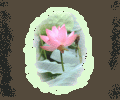 蓮花池像