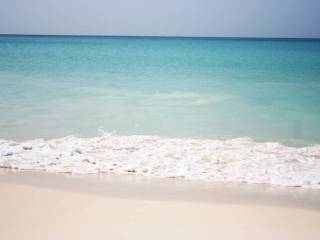 受如水上泡 受如水上泡