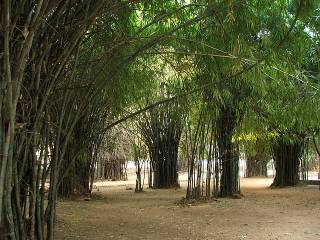 王舍城伽藍陀竹園