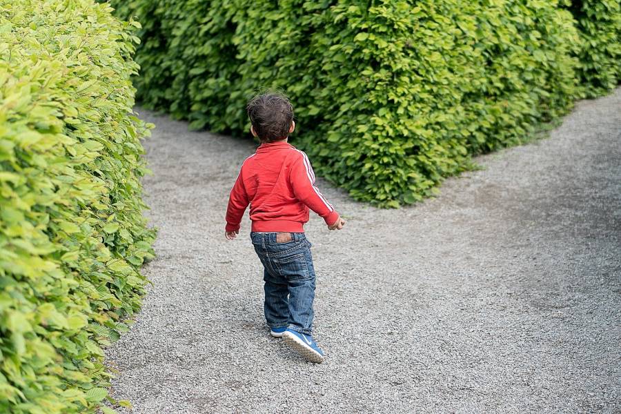 child-g787b6647f_1920.jpg