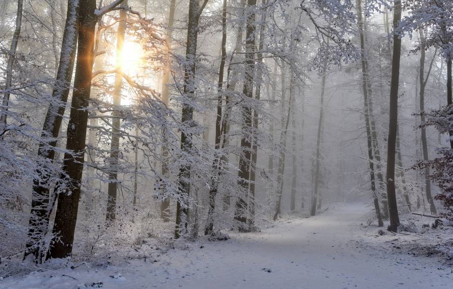 snow-4668099_1920.jpg