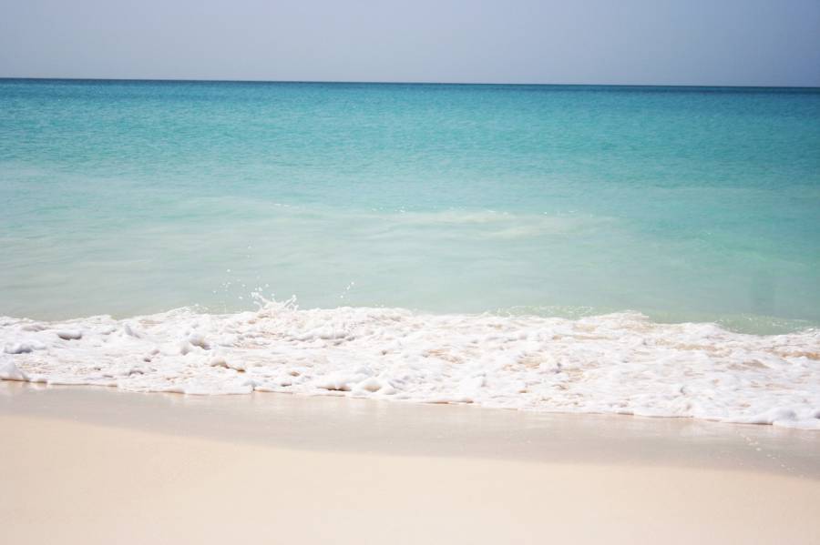 beach-834337_1280.jpg