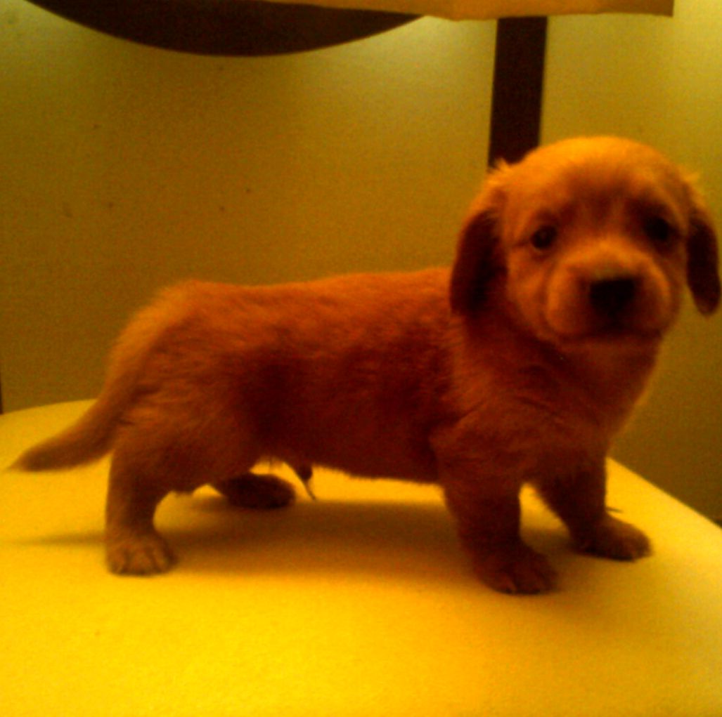 �J�ª��鳻��