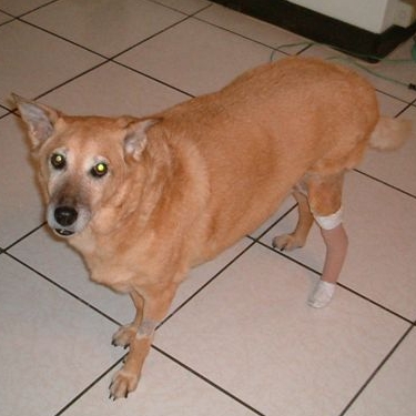 �J�ª��鳻��