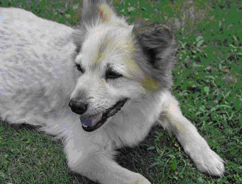 �J�ª��鳻��