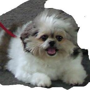 �J�ª��鳻��